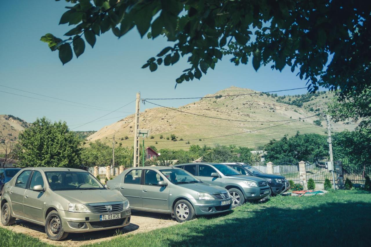 Pensiunea La Nenea Iancu Greci Dış mekan fotoğraf