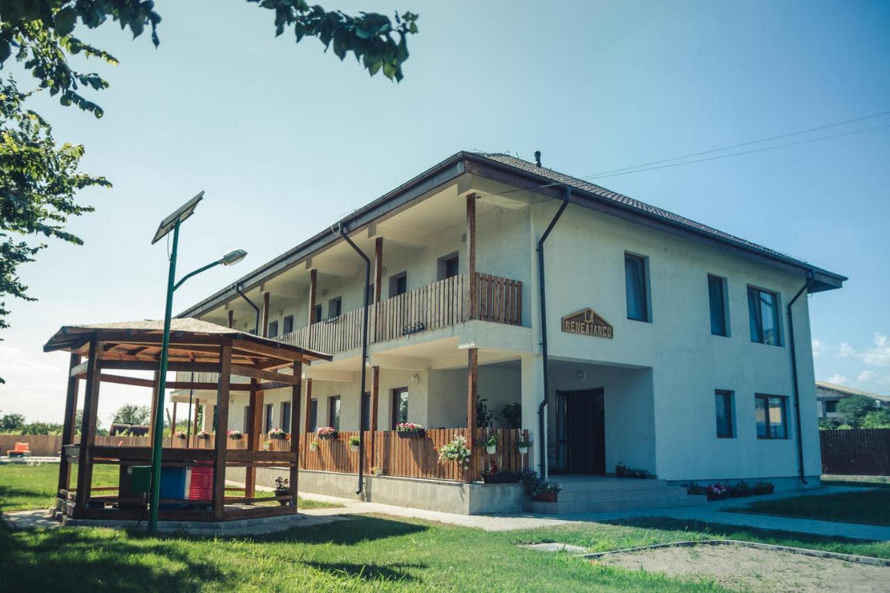 Pensiunea La Nenea Iancu Greci Dış mekan fotoğraf